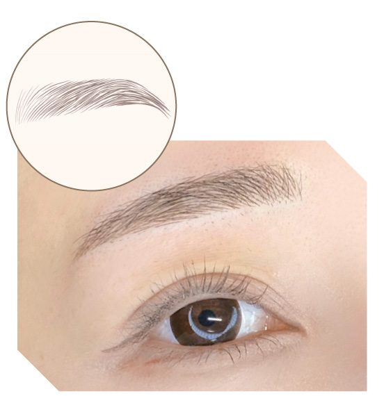 眉アートメイク毛並み技法の図解イラスト 眉アートメイク毛並み技法の画像