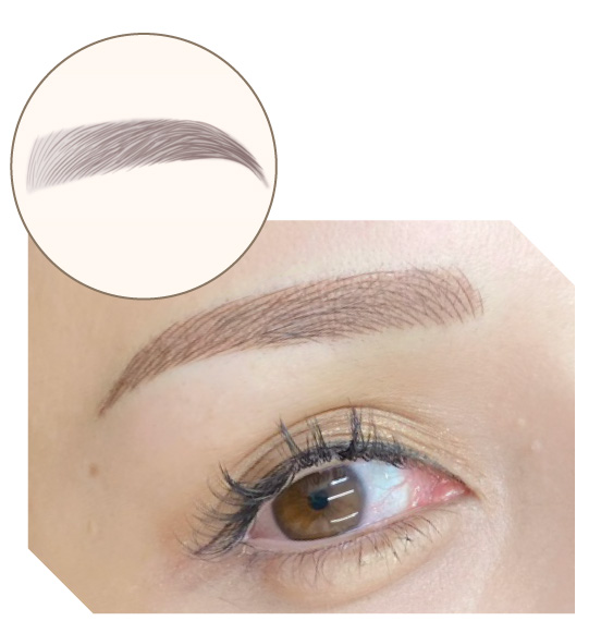 眉アートメイクMIX（毛並み+パウダー）技法の図解イラスト 眉アートメイクMIX（毛並み+パウダー技法の画像