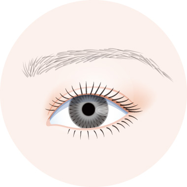 眉アートメイク技法の図解イラスト｜毛並み