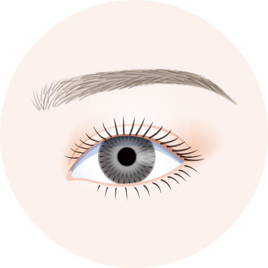 眉アートメイク技法の図解イラスト｜MIX（毛並み+パウダー）